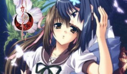 动漫百合,探寻动漫中的纯真情感世界